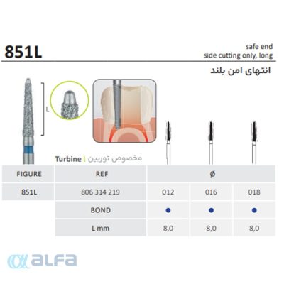 فرز سیف اند جوتا
